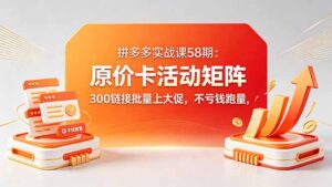 拼多多实战课58期：原价卡活动矩阵，300链接批量上大促，不亏钱跑量-宝藏屋创业网