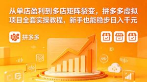从单店盈利到多店矩阵裂变,拼多多虚拟项目全套实操教程,新手也能稳步日入千元-宝藏屋创业网