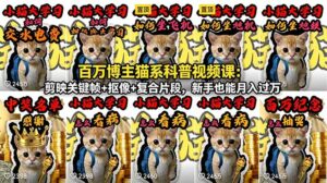 百万博主猫系科普视频课:剪映关键帧+抠像+复合片段,新手也能月入过万-宝藏屋创业网