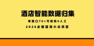 酒店智能数据归集,小众蓝海已经稳定半年之久,单窗口70+零成本矩阵开干【揭秘】-宝藏屋创业网