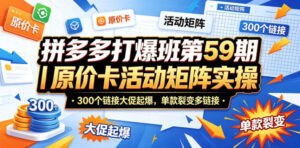 拼多多打爆班第59期|原价卡活动矩阵实操,300个链接大促起爆,单款裂变多链接-宝藏屋创业网