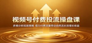 视频号付费投流操盘课:多维分析投放策略,借力付费流量带动自然流长效增长收益-宝藏屋创业网