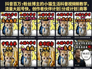 抖音百万粉丝博主的小猫生活科普视频教学,流量大起号快,创作者伙伴计划|分成计划|商单|收徒等-宝藏屋创业网