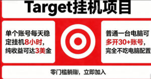 海外平台Target商品浏览曝光，24小时运行无需人工值守，日收益100美刀+电脑可多开【揭秘】-宝藏屋创业网