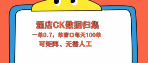 上班也能玩的酒店CK数据归集，一单0.7单窗口每天可做100单，一个人就能矩阵操作-宝藏屋创业网