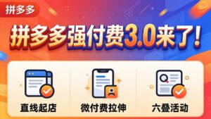 拼多多强付费3.0来了(更新4月-宝藏屋创业网