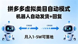 多多虚拟类目自动模式，机器人自动发货 + 回复，月入 1-5W 可落地-宝藏屋创业网