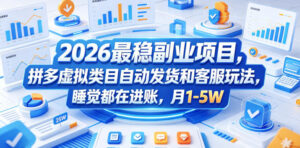 2026最稳副业项目,拼多多虚拟类目自动发货和客服玩法,睡觉都在进账,月1-5W【揭秘】-宝藏屋创业网
