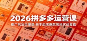 2026拼多多运营课：推广玩法全覆盖，新手起店爆款落地实战复盘-宝藏屋创业网