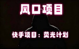 快手风口项目，荧光计划托管，长期稳定，适合批量做-宝藏屋创业网