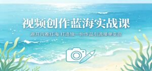 视频创作蓝海实战课：避开内卷红海，打造独一份作品引流接单变现-宝藏屋创业网