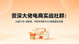 资深大佬电商实战社群:30篇干货+视频课,手把手带新手从0搭建盈利店铺-宝藏屋创业网