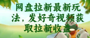 网盘拉新最新玩法,发好奇视频获取拉新收益,抖音收藏家玩法-宝藏屋创业网