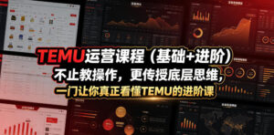 TEMU运营课程(基础+进阶)，不止教操作，更传授底层思维，一门让你真正看懂TEMU的进阶课-宝藏屋创业网