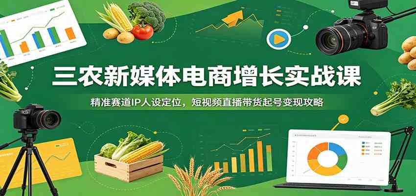 三农新媒体电商增长实战课：精准赛道IP人设定位，短视频直播带货起号变现攻略-宝藏屋创业网