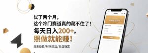 试了两个月，这个冷门赛道真的藏不住了！每天日入200+，照做就能赚！-宝藏屋创业网