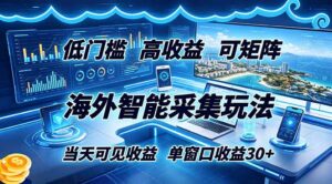 海外智能采集玩法,低门槛高单价可矩阵,当天可见收益,单窗口30+-宝藏屋创业网