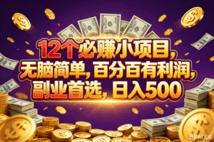 (18976期)12个必赚的小项目,百分百赚元子,无脑简单,副业首选,日入500+-宝藏屋创业网