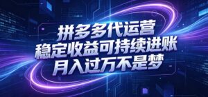 拼多多代运营，小白也能轻松月入过万，真实运营数据可查，全托管代运营-宝藏屋创业网