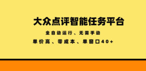 大众点评智能任务平台,全自动运行、无需手动,单价高、零成本、单窗口40+【揭秘】-宝藏屋创业网