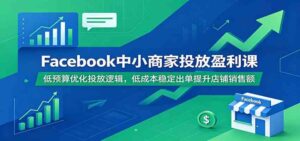 Facebook中小商家投放盈利课:低预算优化投放逻辑,低成本稳定出单提升店铺销售额-宝藏屋创业网