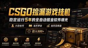 CSGO捡漏游戏挂机,稳定运行5年的全自动掘金软件曝光,当天见收益,日入500+-宝藏屋创业网