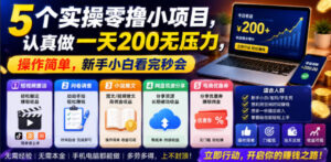 5个实操零撸小项目,认真做一天200无压力,操作简单,新手小白看完秒会【揭秘】-宝藏屋创业网
