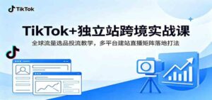 TikTok+独立站跨境实战课:全球流量选品投流教学,多平台建站直播矩阵落地打法-宝藏屋创业网