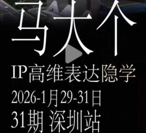 马大个《IP高维表达》全套12800线下大课笔记，手把手教你打造个人IP-宝藏屋创业网