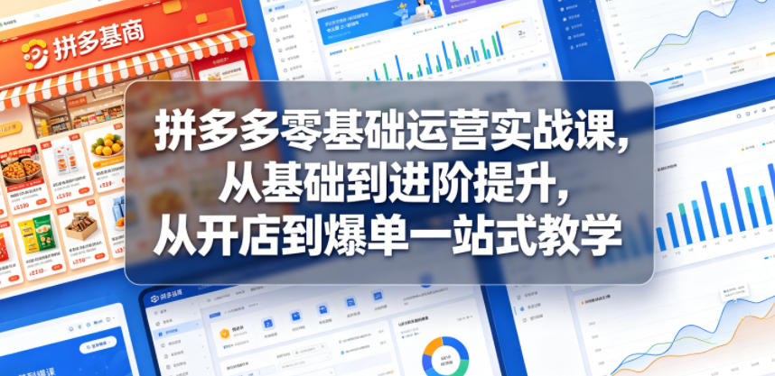 拼多多零基础运营实战课，从基础到进阶提升，从开店到爆单一站式教学-宝藏屋创业网