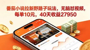 番茄小说拉新野路子玩法，无脑怼视频，每单10元，40天收益27950-宝藏屋创业网