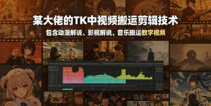 某大佬的TK中视频搬运剪辑技术，包含动漫解说、影视解说、音乐搬运教学视频-宝藏屋创业网