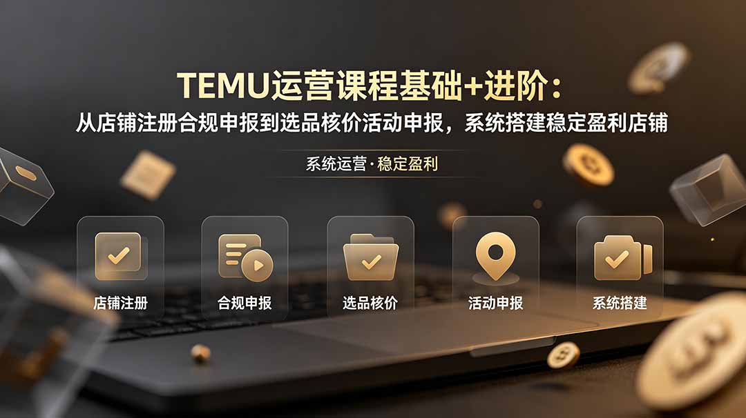 TEMU运营课程(基础+进阶-宝藏屋创业网