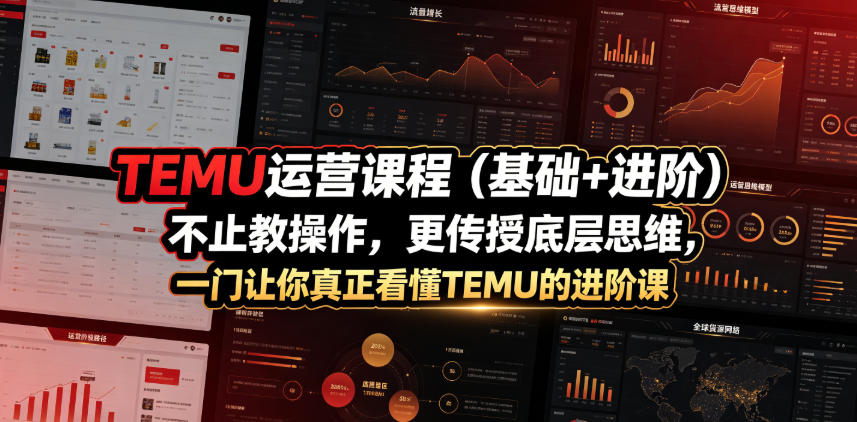 TEMU运营课程（基础+进阶），不止教操作，更传授底层思维，一门让你真正看懂TEMU的进阶课-宝藏屋创业网