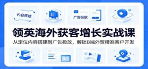 领英海外获客增长实战课:从定位内容搭建到广告投放,解锁B端外贸精准客户开发-宝藏屋创业网