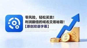零风险，轻松买卖！利润翻倍的域名交易秘籍！【原创双语字幕】-宝藏屋创业网