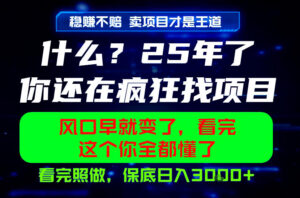 26年,请不要疯狂的找项目做了!卖项目才是真的稳賺不赔,看完照做,保底日入1k+【揭秘】-宝藏屋创业网