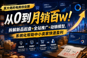 某大佬的电商创业圈从0到月销百W！拆解新品起盘+全站推广+动销模型，系统化帮助中小卖家快速盈利-宝藏屋创业网
