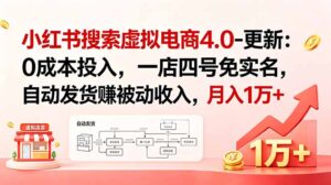 小红书搜索虚拟电商4.0-更新:0成本投入,一店四号免实名,自动发货赚被动收入,月入1万+-宝藏屋创业网