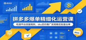 拼多多爆单精细化运营课：吃透平台流量规则，sku定价推广实现稳定批量出单-宝藏屋创业网