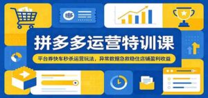 拼多多运营特训课:平台券快车秒杀运营玩法,异常数据急救稳住店铺盈利收益-宝藏屋创业网