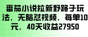番茄小说拉新野路子玩法,无脑怼视频,玩法简单、见效快,每单10米,40天收益27950-宝藏屋创业网