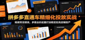 拼多多直通车精细化投放实战:规避常见错误,多套出价起量打法稳定拉高店铺投产-宝藏屋创业网