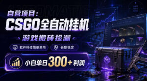 自营项目：CSGO全自动挂G，游戏搬砖捡漏，软件科技简单易用，长期稳定，小白单日300+利润【揭秘】-宝藏屋创业网