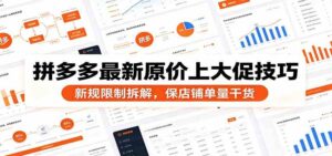 拼多多最新原价上大促技巧：新规限制拆解，保店铺单量干货-宝藏屋创业网