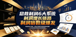 总裁利润6大系统，打通从开源到节流的利润增长链路，让企业在复杂市场中实现利润倍数级爆发-宝藏屋创业网