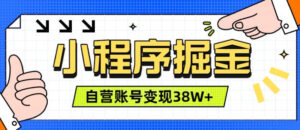 微信小程序掘金,团队自营小程序累计变现38W+,稳定运营三年,一部手机即可操作【揭秘】-宝藏屋创业网