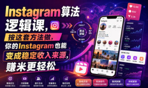 Instagram算法逻辑课,按这套方法做,你的Instagram也能变成稳定收入来源,賺米更轻松【原创双语字幕】-宝藏屋创业网