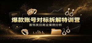 爆款账号对标拆解特训营:首饰类目商业案例分析,配套完整资料内容-宝藏屋创业网