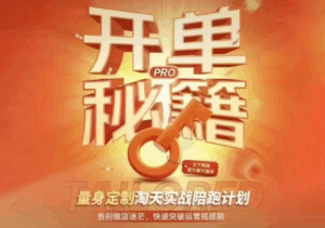 天下网商·淘宝天猫陪跑计划(更新7月)-宝藏屋创业网